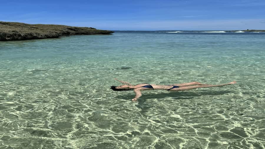5 Islands All-Inclusive Speedboat w/Snorkeling Sea Turtle - Grand River South East: waterfall views and Wild Mauritian Monkeys