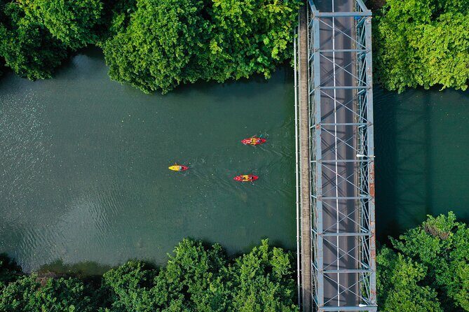 Afternoon Guided Kayak Tour on the Tamarin River - Key Things You’ll Notice Before You Go