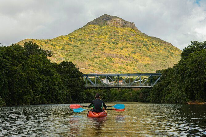 Afternoon Guided Kayak Tour on the Tamarin River - Bring This (and What You Can Skip)