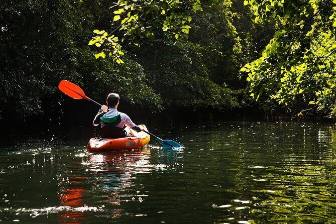 Afternoon Guided Kayak Tour on the Tamarin River - Who Should Book This Tamarin River Kayak Tour?