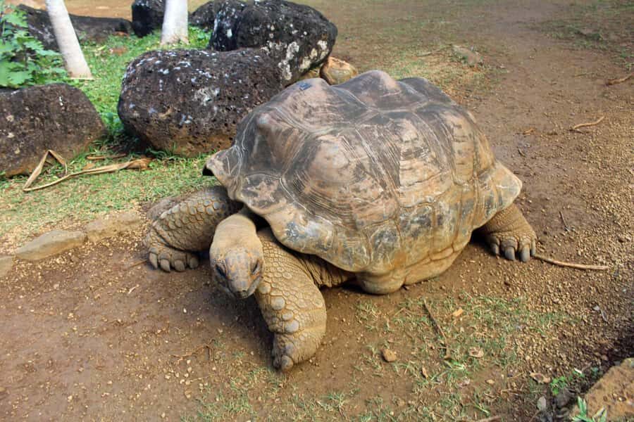Animal & Nature Parks, Private Tour - Key takeaways for your day