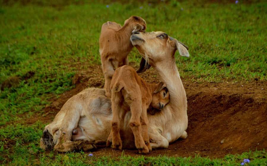 Animal & Nature Parks, Private Tour - 23 coloured Earth: the quick stop that changes your mood