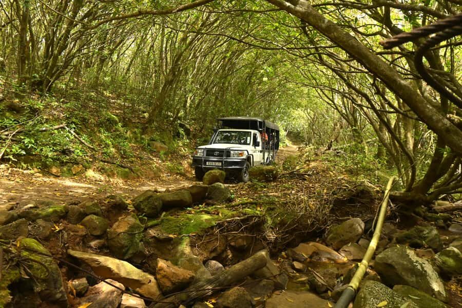 Animal & Nature Parks, Private Tour - Lunch and drinks: included comfort that keeps the day enjoyable