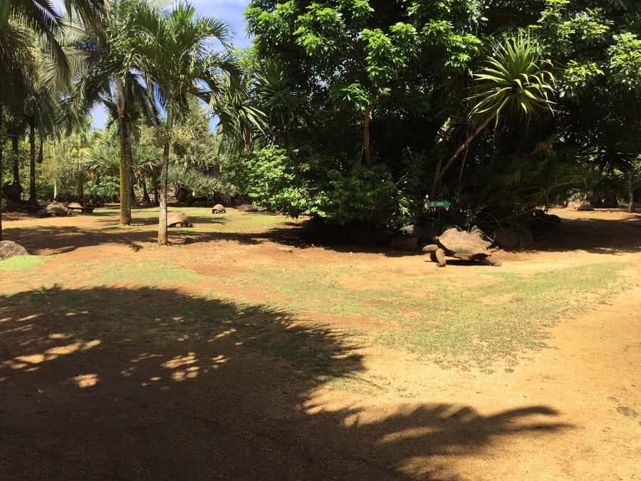 Animal & Nature Parks, Private Tour - Who this tour suits best (and who should skip it)