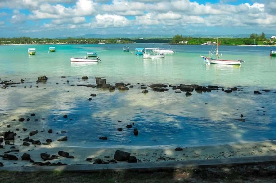 Blue Bay Glass Bottom Boat, Adventure Park & Gris Gris - Snorkeling in Blue Bay: coral, fish, and one big hope (turtle)