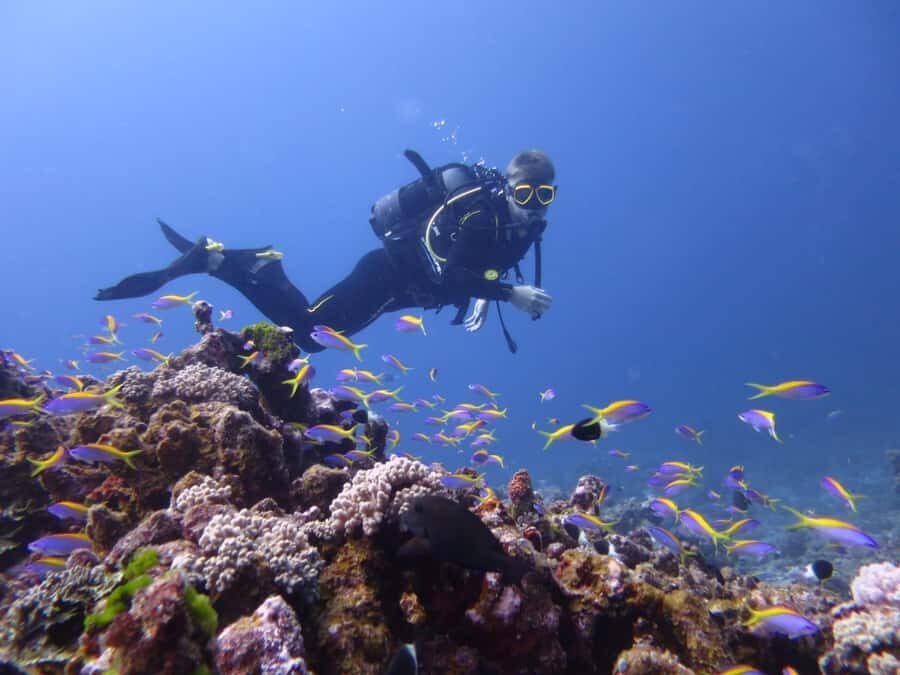 Blue Bay: LEARN TO DIVE TODAY with CORAL DIVING Team - Price and value: what $176 buys you (and what it doesn’t)