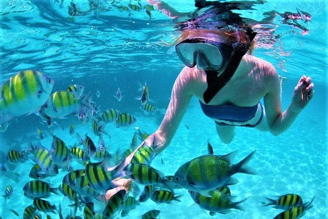 Catamaran Ile aux Cerfs, snorkeling + GRSE Waterfall, BBQ & Bar - Crowds, Transfers, and How to Protect Your Phone
