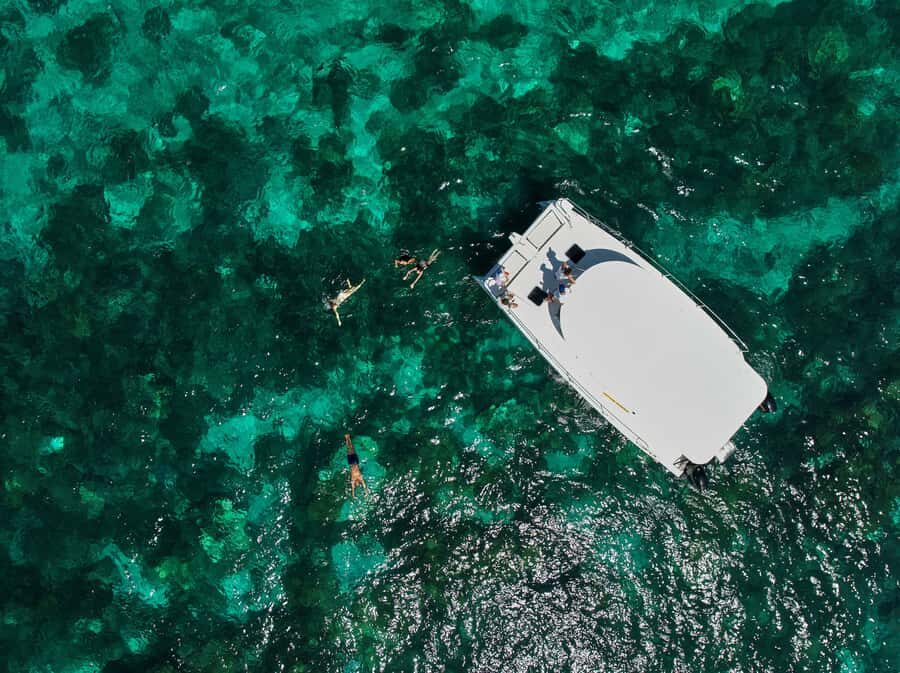 Catamaran Mauritius: South East 5 Islands Catamaran Cruises - Dolphins, Sea Turtles, and Île au Phare: The Day Changes Gear