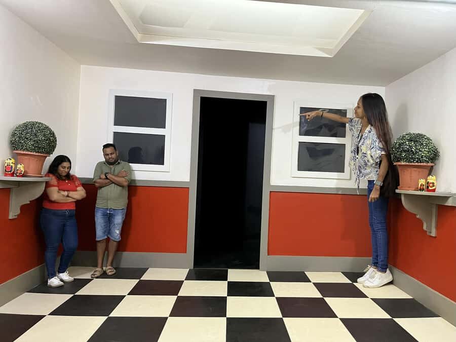 Chamarel: Curious Mauritius Entry Ticket - The first rooms: 40+ exhibits of illusion and hands-on art