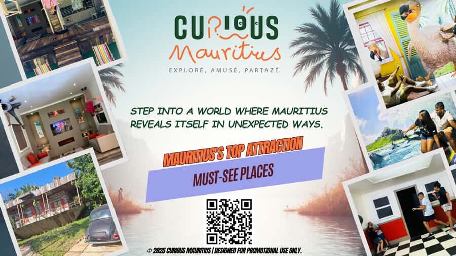 Chamarel: Curious Mauritius Entry Ticket - Mirror Maze: the photo and the mental workout