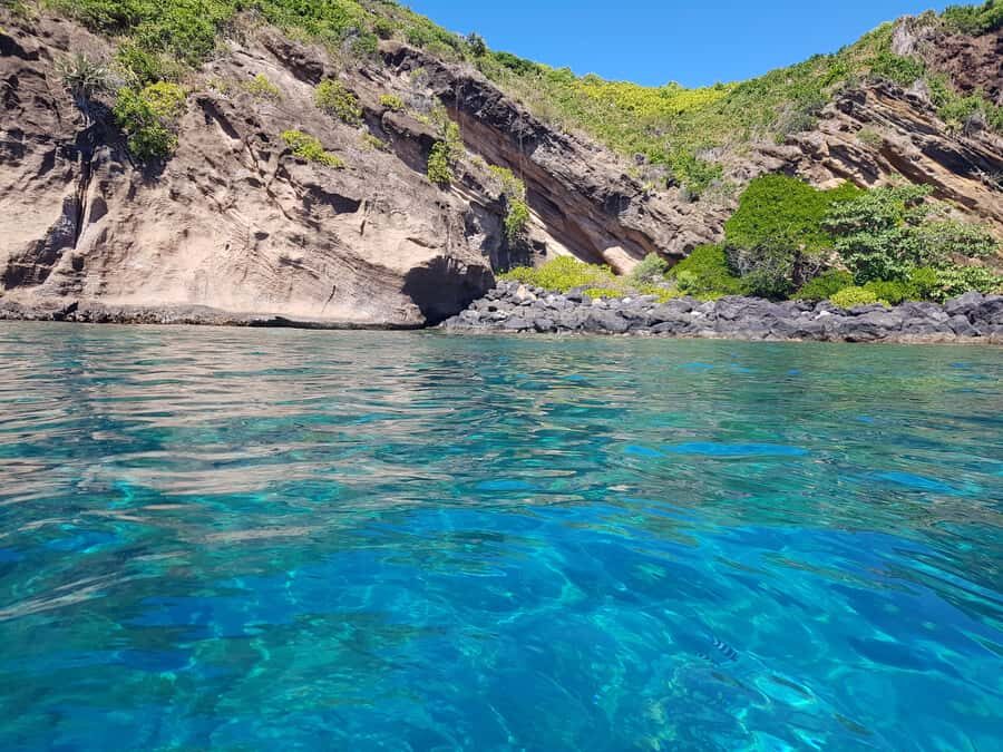 Coin de Mire 2-Hour Private Snorkeling Trip - How the crew guidance changes everything for first-time snorkelers