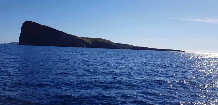 Coin de Mire 2-Hour Private Snorkeling Trip - Practical tips for enjoying the reef more (and getting better photos)