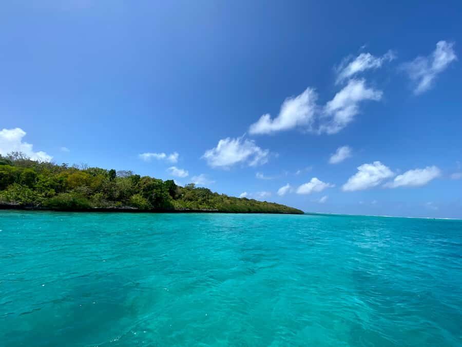 Day Trip at Ile aux Cerfs and other Gems of the South. - Key things I’d mark as “worth it”