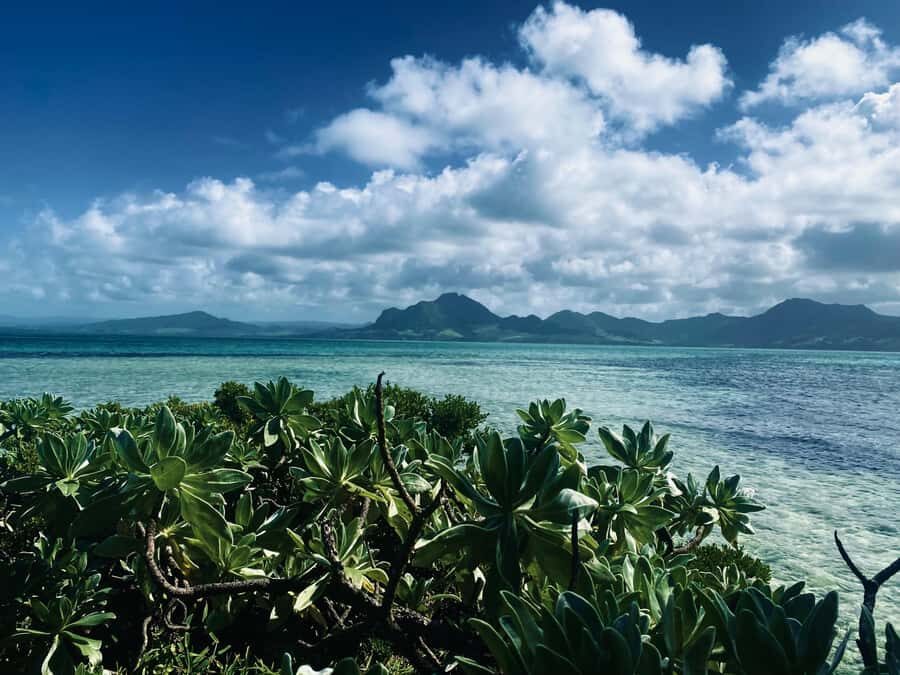 Day Trip at Ile aux Cerfs and other Gems of the South. - Ile aux Cerfs: The 3-Hour Window That Works