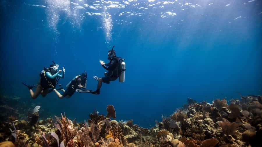 DISCOVER SCUBA DIVING IN LEMORNE with EasydiveMauritius - A step-by-step schedule: from briefing to your first underwater breaths