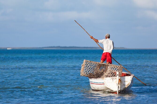 Discover the East of Mauritius: Full-day All-inclusive tour (Visit to 3 parks) - Rhumerie St-Aubin rum tasting: colonial house to tasting glass