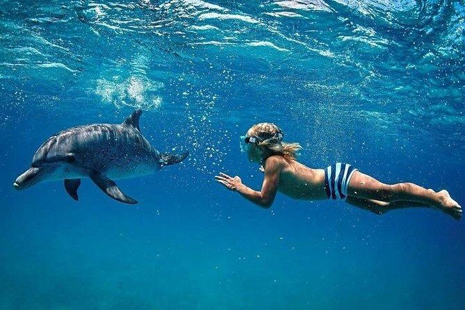 Dolphin Encounters, Ile aux Benitier & Crystal rock: Full-Day (Lunch & Transfer) - Crystal Rock near Le Morne: snorkelling with a view