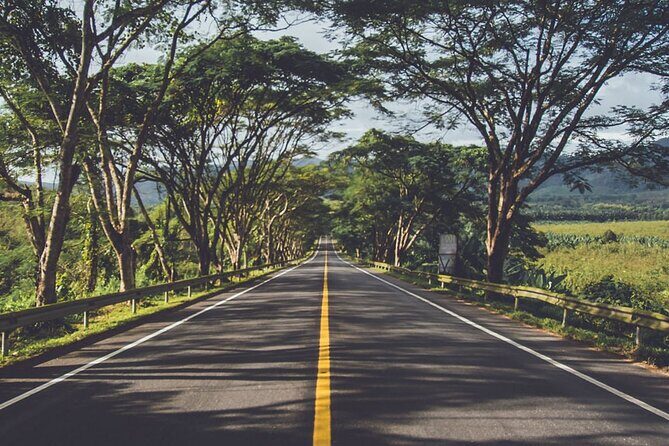 East of Mauritius: Full Day Scenic Tour with Lunch & Glass Bottom - Village life and scenic roads: how the east feels between the sights