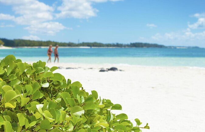 Eastern Treasures of Mauritius: incl Rhumerie St Aubin & Blue-Bay Marine Park - Quick hits before you go