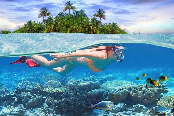 Eastern Treasures of Mauritius: incl Rhumerie St Aubin & Blue-Bay Marine Park - Mahebourg waterfront and Bataille de la Passe: the view has meaning