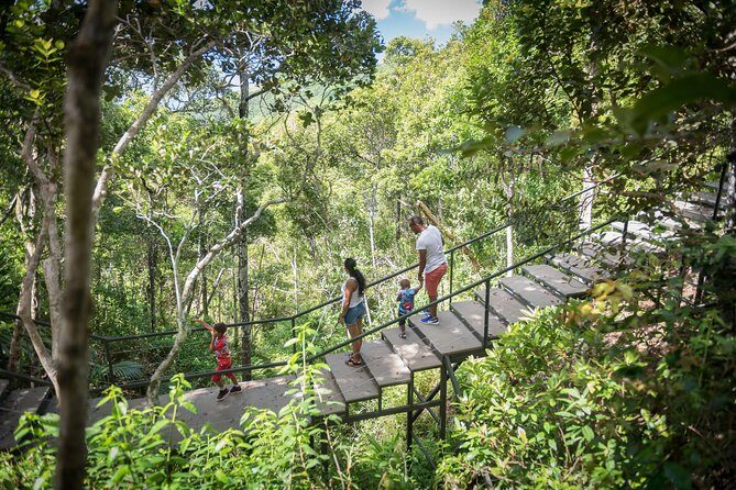 Ebony Forest Reserve Chamarel: Sublime Sundowner - Wildlife at night: how to get better odds in the dark