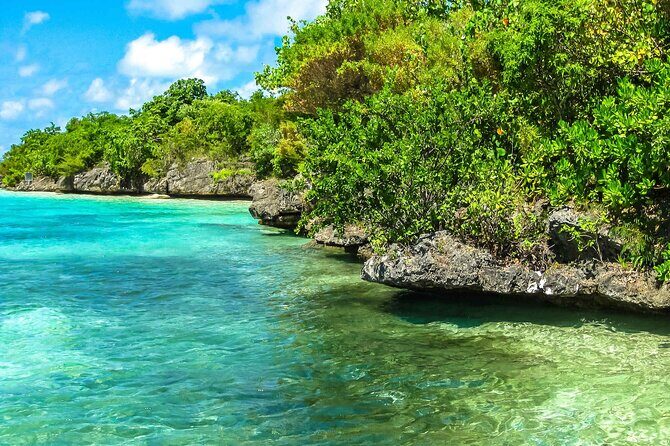 Exotic East of Mauritius: Full-day incl Ile aux Aigrette & Blue-Bay Marine Park - Pickup, Timing, and How to Avoid a Long Day
