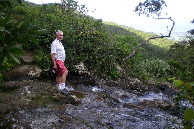 Exotic South: Journey into the Nature (Full-Day Tour incl Lunch & Ebony Forest) - Alexandra Falls and Black River Gorges: the postcard breaks (with a weather caveat)