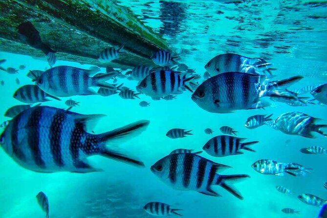 Exploring the Magnificent East of Mauritius: Full-day incl Blue Bay Marine Park - Price and what you’re really paying for at about $111