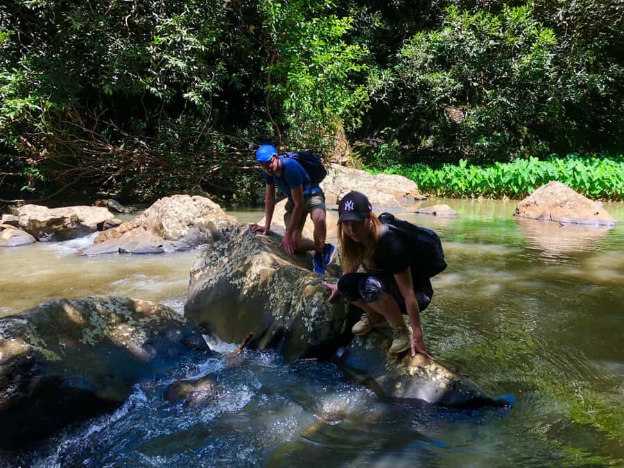 From Chamarel: Waterfall Eco-Hike Adventure - Gorge Descent and Four River Crossings: expect the workout
