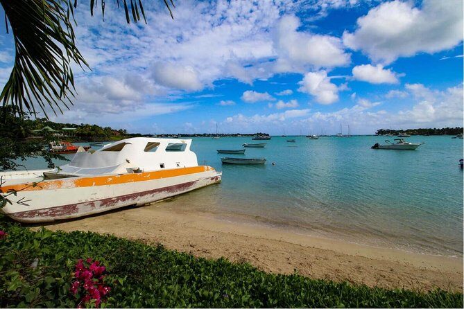 Full-Day North Tour of Mauritius, ALL INCLUSIVE Day Trip, Private SUV Car, Guide - SSR Botanic Garden (Pamplemousses): Giant Tortoises and Old-World Plant History