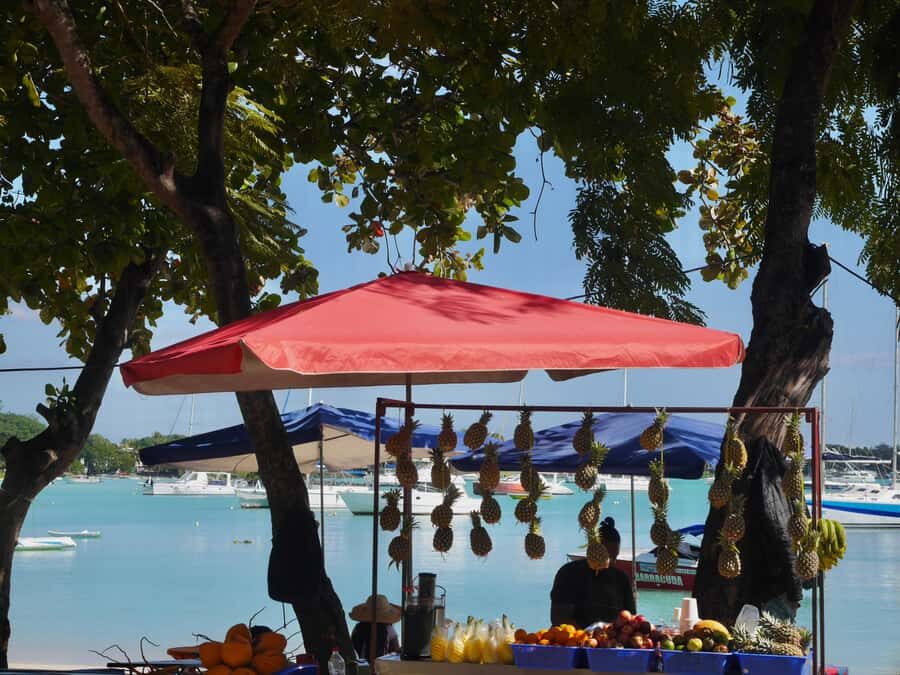 Grand Baie: Coastal Cuisine & Culture Walking Tour - Key things to know before you go
