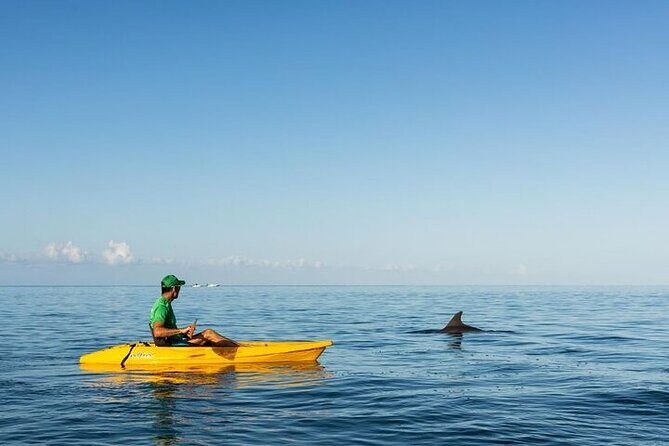 Guided Kayak 2 Hours Activity with Dolphins - Sunrise Kayaking in Tamarin Bay: What Makes It Special