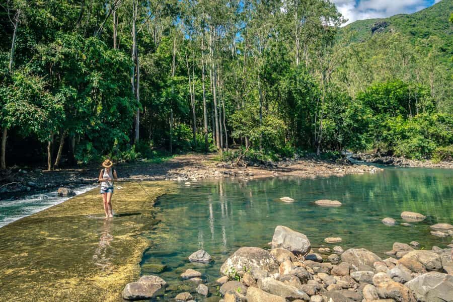 Hiking the Black River Gorges: Full-day incl Lunch &Transfer - Key Highlights You’ll Actually Care About