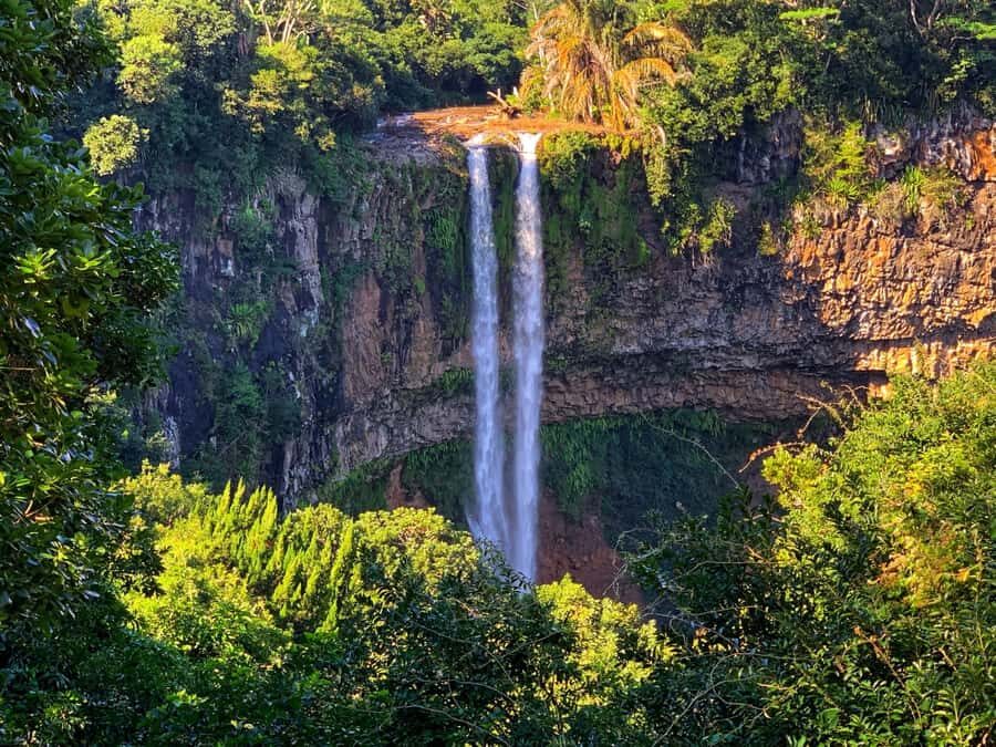 Hiking the Black River Gorges: Full-day incl Lunch &Transfer - From Your Hotel Into the Black River Gorges
