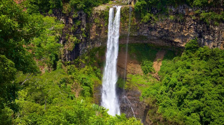 Hiking the Black River Gorges: Full-day incl Lunch &Transfer - Easy Hike, Big Views: Gorge, Waterfalls, and Mountain Vistas