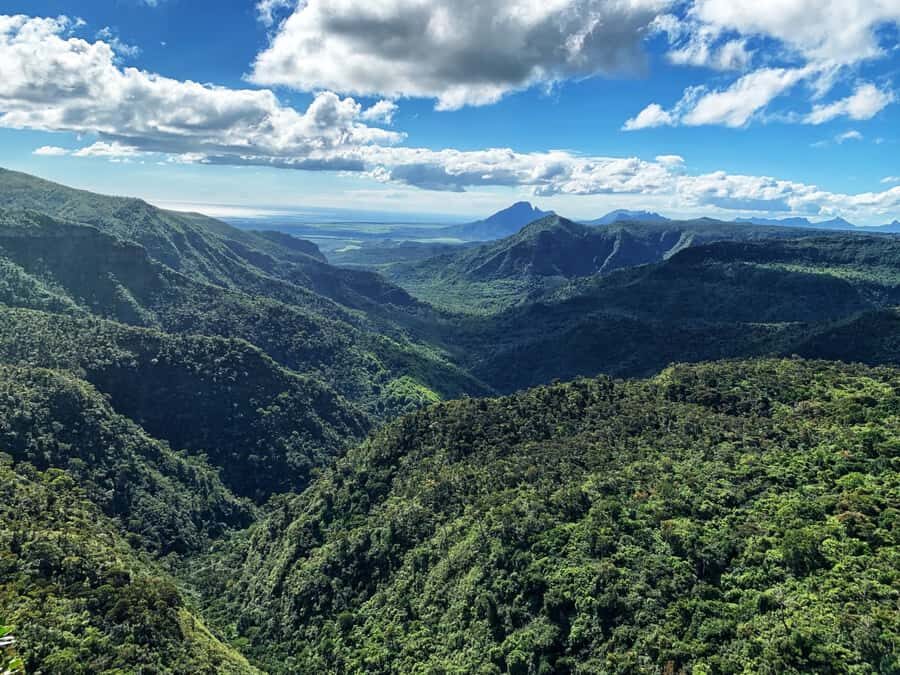 Hiking the Black River Gorges: Full-day incl Lunch &Transfer - Price and Time: Is $110 Good Value for This 6-Hour Hike?