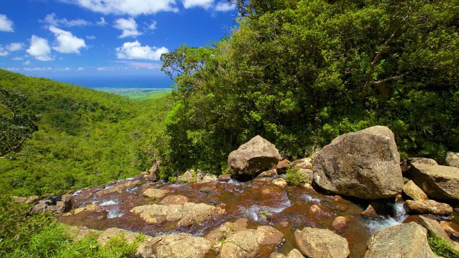 Hiking the Black River Gorges: Full-day incl Lunch &Transfer - What to Bring (and Who Should Skip This Hike)