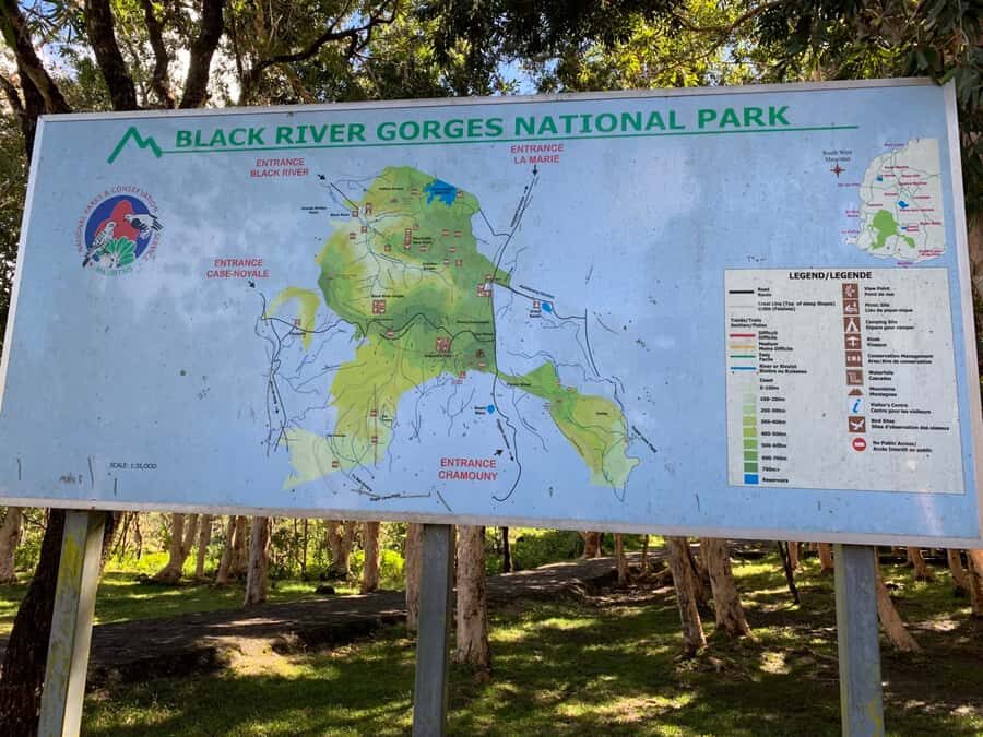 Hiking the Black River Gorges: Full-day incl Lunch &Transfer - Machabee Forest: Endemic Plants and Birds on a Human-Scale Trail