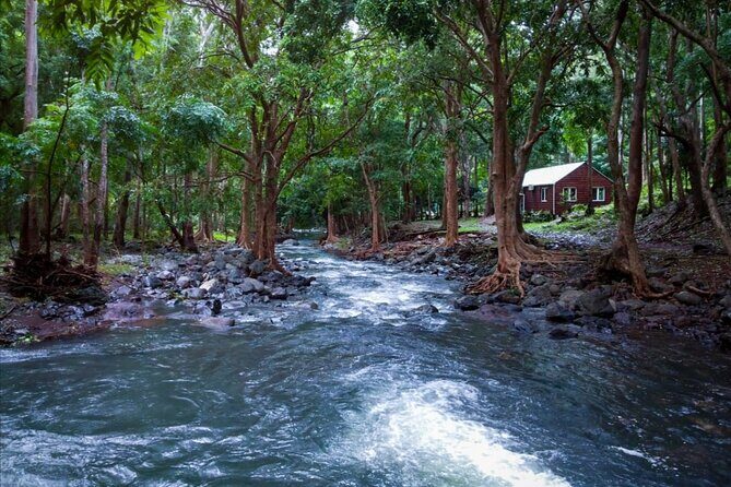 Hiking the Black River Gorges: Full-day with Lunch and Transfer - The last meeting point: finishing and getting home