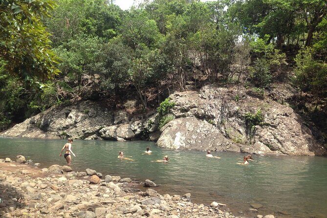 Hiking the Black River Gorges: Full-day with Lunch and Transfer - What’s included (and what that means in real life)