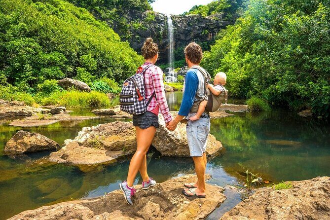 Hiking the Black River Gorges: Full-day with Lunch and Transfer - Your first stop: starting at the Black River Gorge