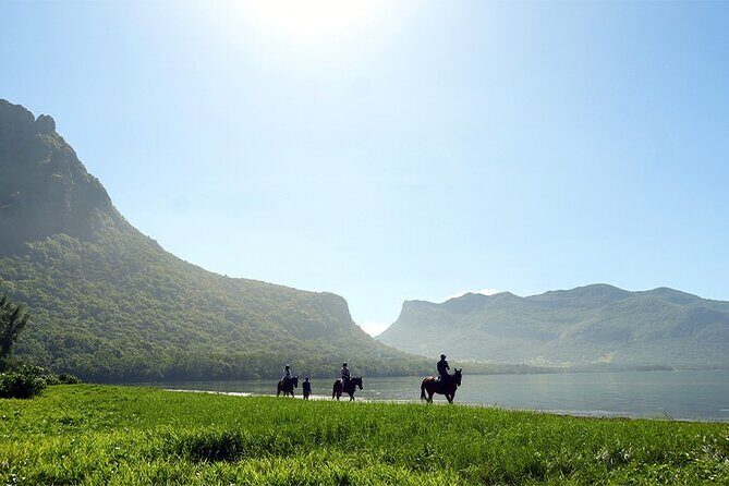 Horse Riding experience by Haras du Morne - Key highlights you should care about