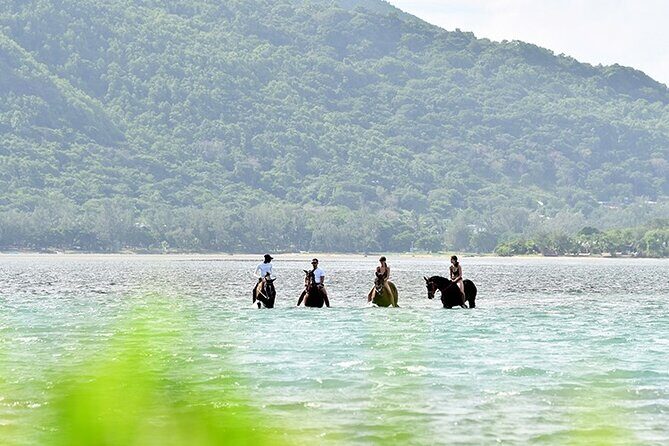 Horse Riding experience by Haras du Morne - Starting at Haras du Morne: where the day kicks off