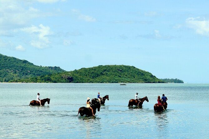 Horse Riding experience by Haras du Morne - Rum tasting and lunch at Chamarel Rhumerie: the break that keeps the day fun