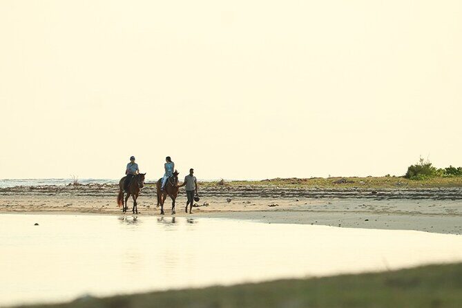 Horse Riding experience by Haras du Morne - South Mauritius route flow: what the timing really feels like