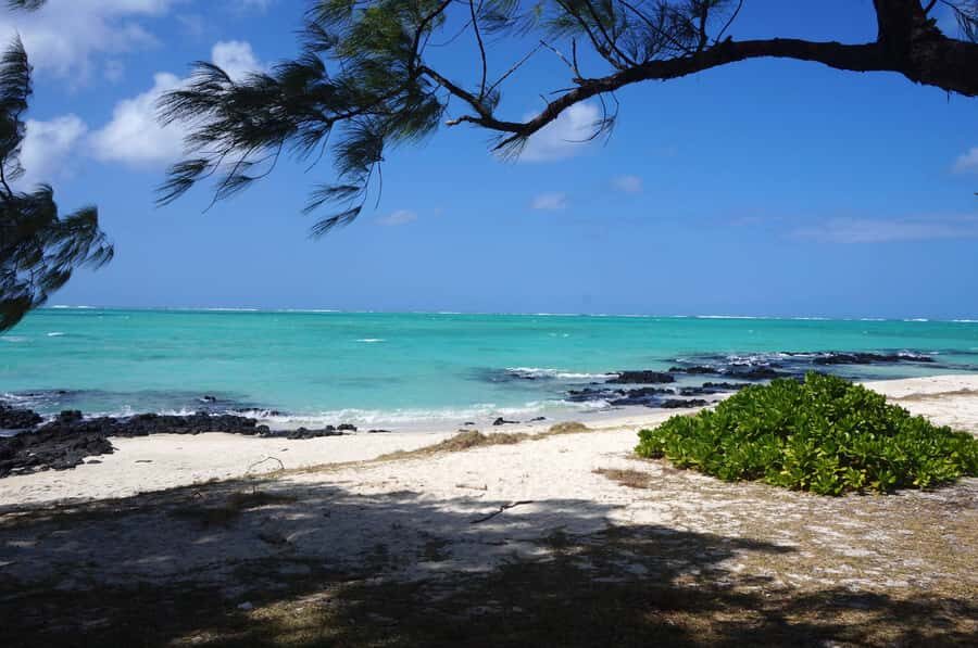Ile Aux Cerfs Catamaran Cruise sailing from Mahebourg - Eau Bleu Snorkeling Stop: Colors of the Water, Not Just the Beach