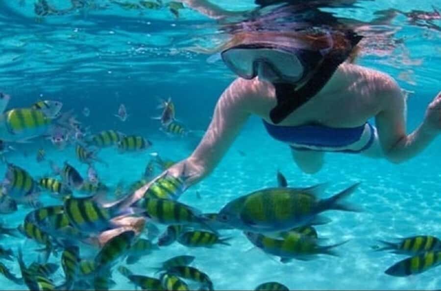 Ile Aux Cerfs Catamaran Cruise with Pick-up/Drop-off & Lunch - Key highlights you’ll care about