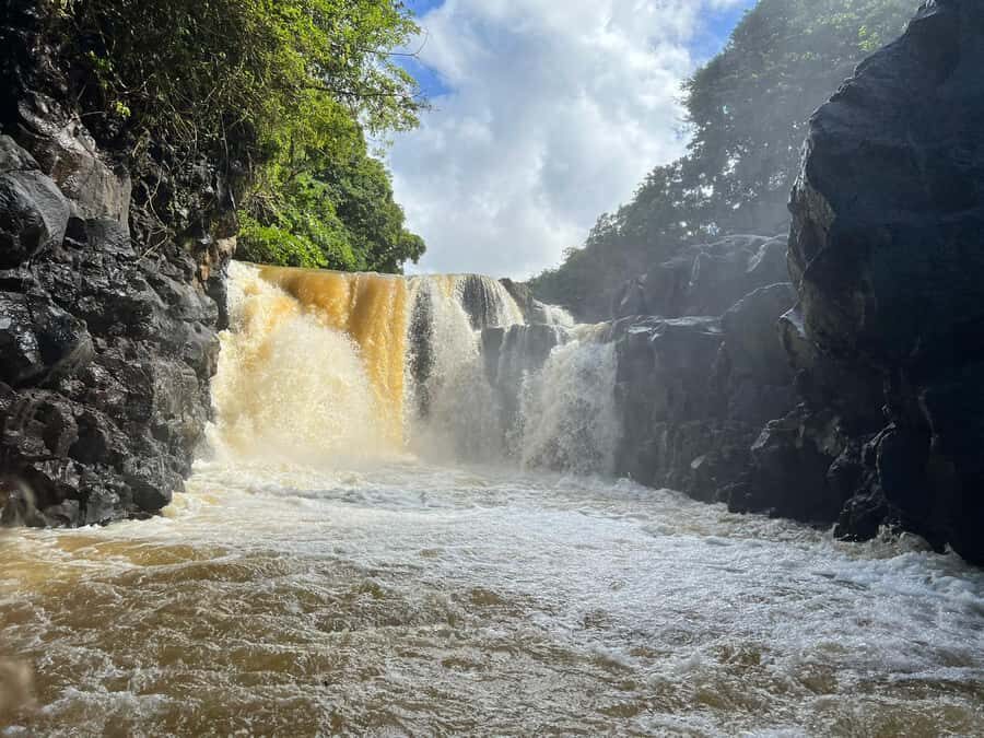 Ile aux cerfs: Private picnic, waterfall, bbq beach lunch - Who this suits best (and who should skip it)