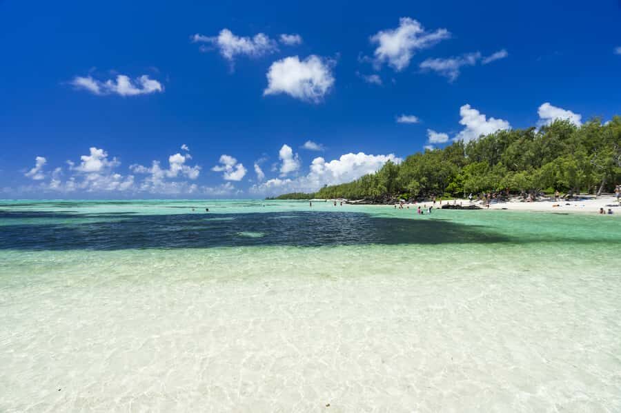Ile aux Cerfs Speedboat Trip & Transport: Private or Shared - Timing and the “Start-to-Finish” Flow (7:30 to About 6 Hours)