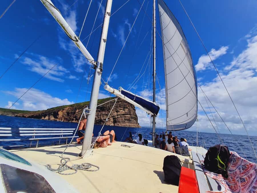 Ilot Gabriel: Catamaran Cruise & BBQ Lunch - Ilot Gabriel: beaches, birds, and protected shoreline time